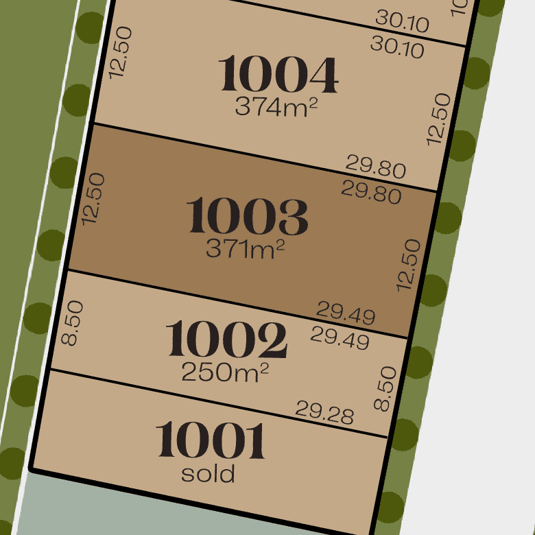Lot 1003